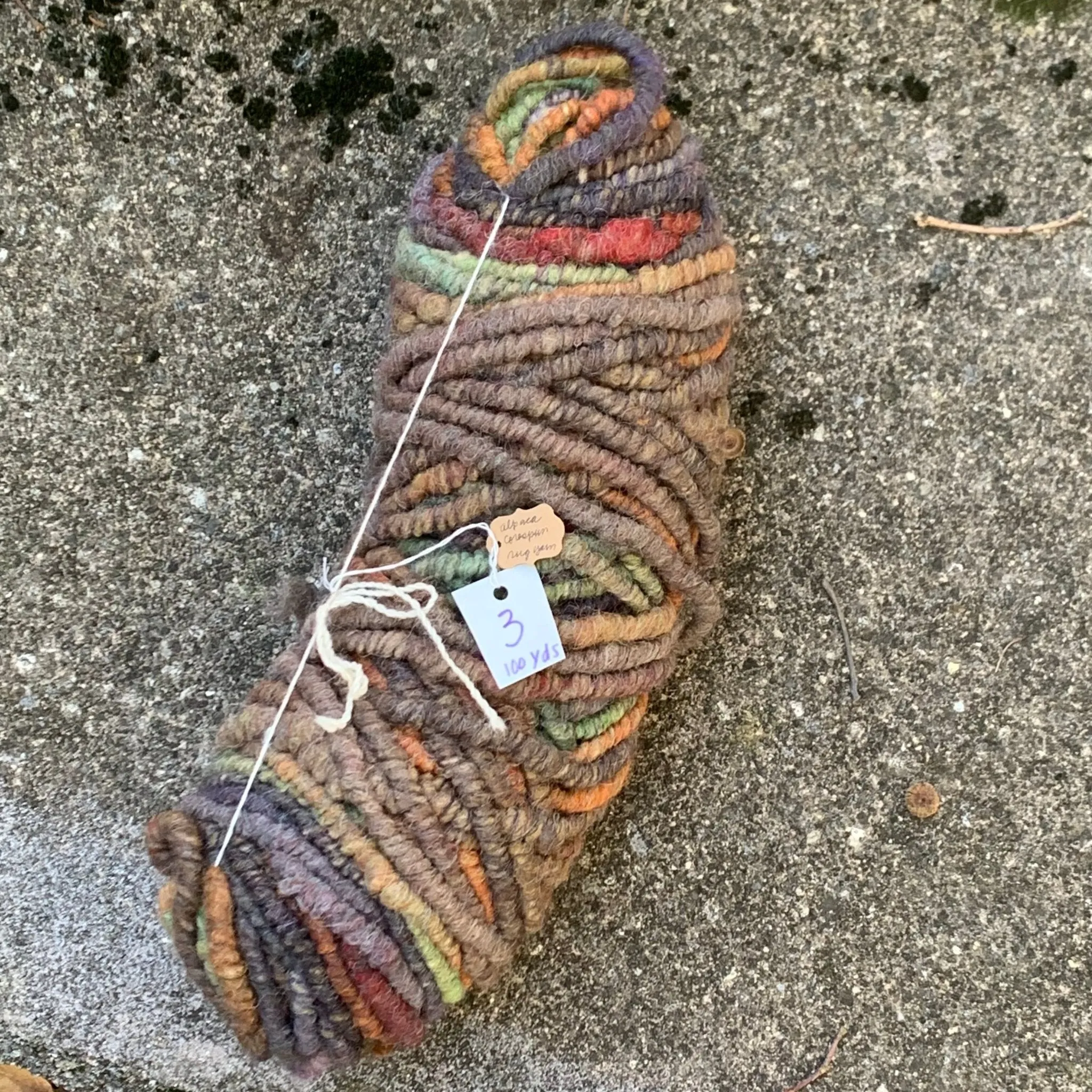 100 Yds Bulky Core Spun Alpaca Yarn Autumn Leaves Shades