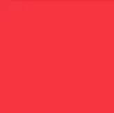 Custom 1" Tyvek Tab Free Tyvek Wristbands